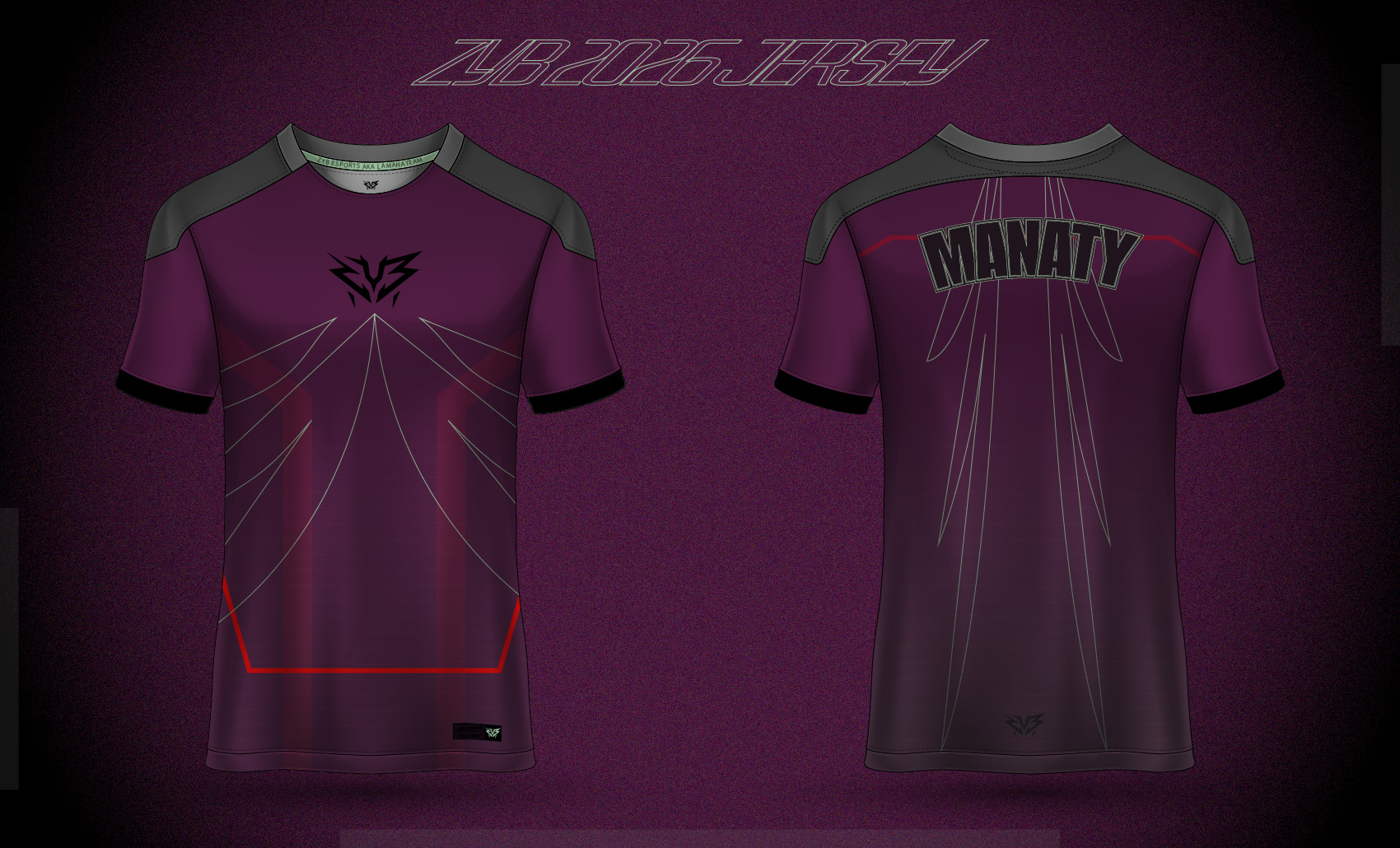 WINGZYB LAMANATEAM